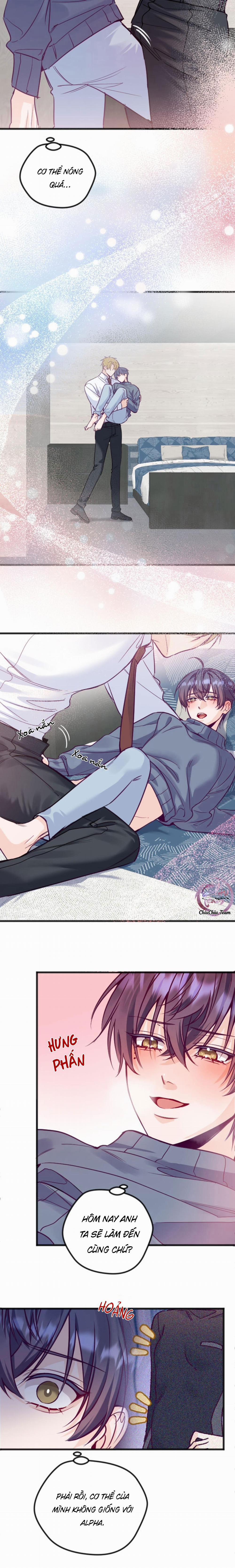 Người Tình Thế Thân Của Alpha 10 trang 4