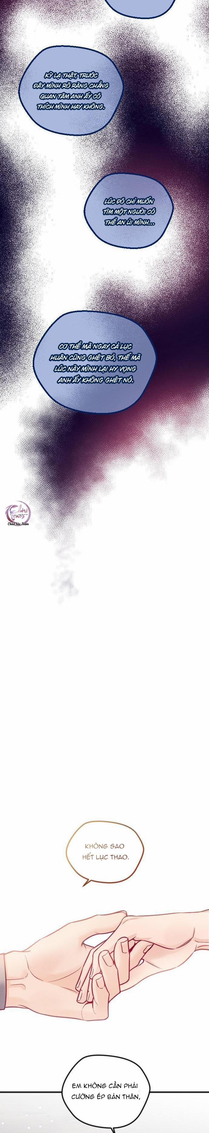 Người Tình Thế Thân Của Alpha 12 trang 8