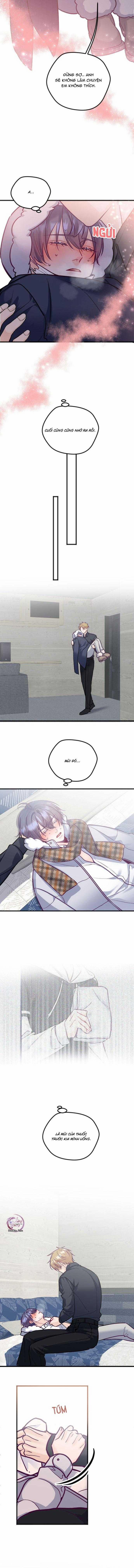 Người Tình Thế Thân Của Alpha 14 trang 8