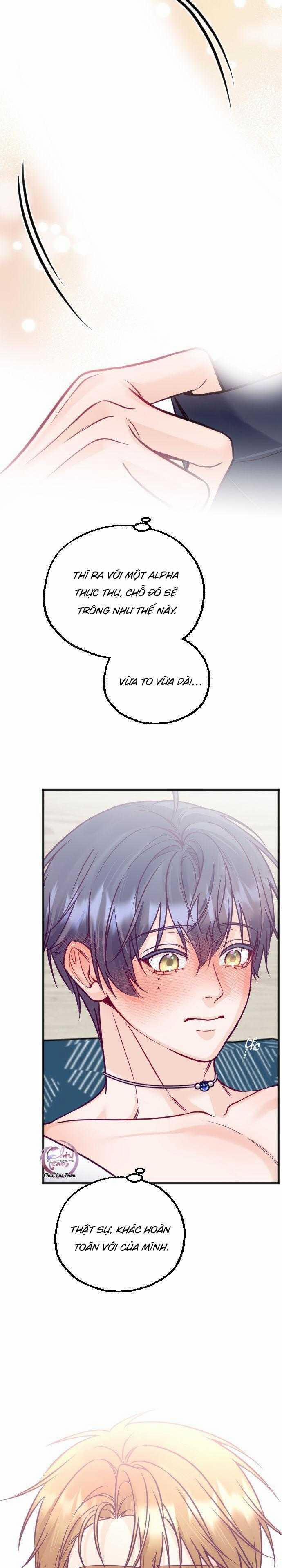Người Tình Thế Thân Của Alpha 15 trang 12