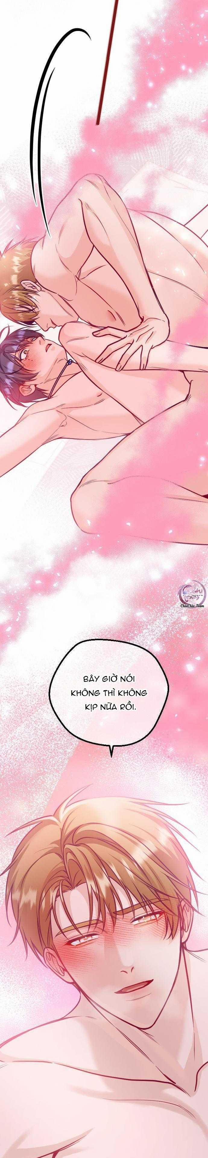 Người Tình Thế Thân Của Alpha 15 trang 25