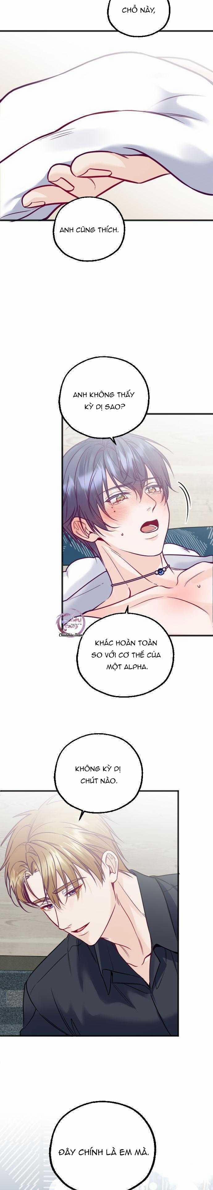 Người Tình Thế Thân Của Alpha 15 trang 9
