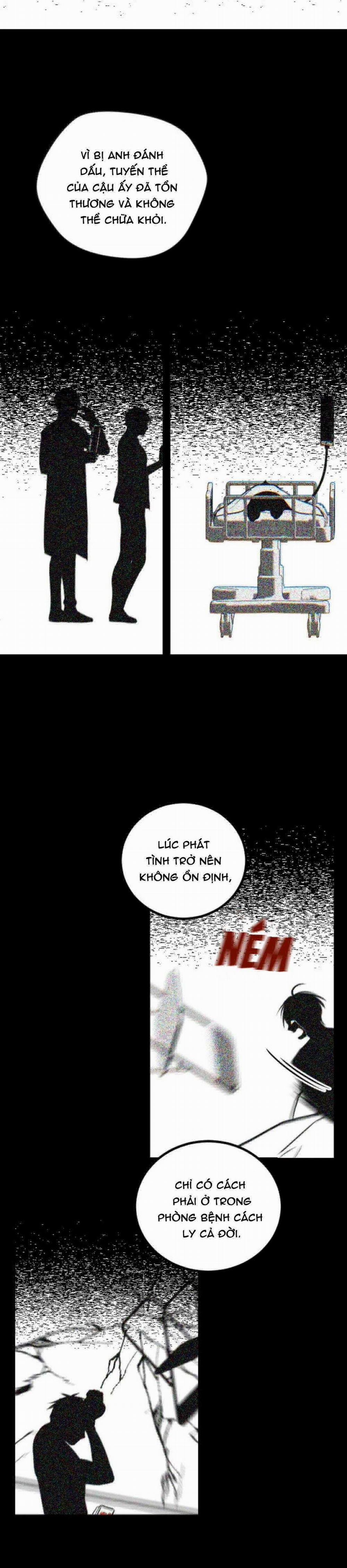 Người Tình Thế Thân Của Alpha 16 trang 11