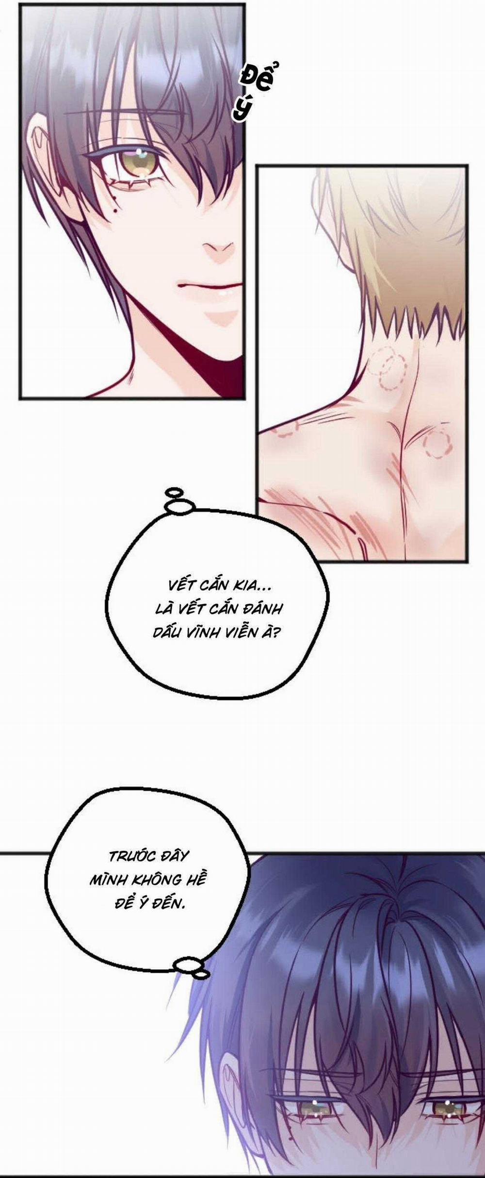 Người Tình Thế Thân Của Alpha 16 trang 16