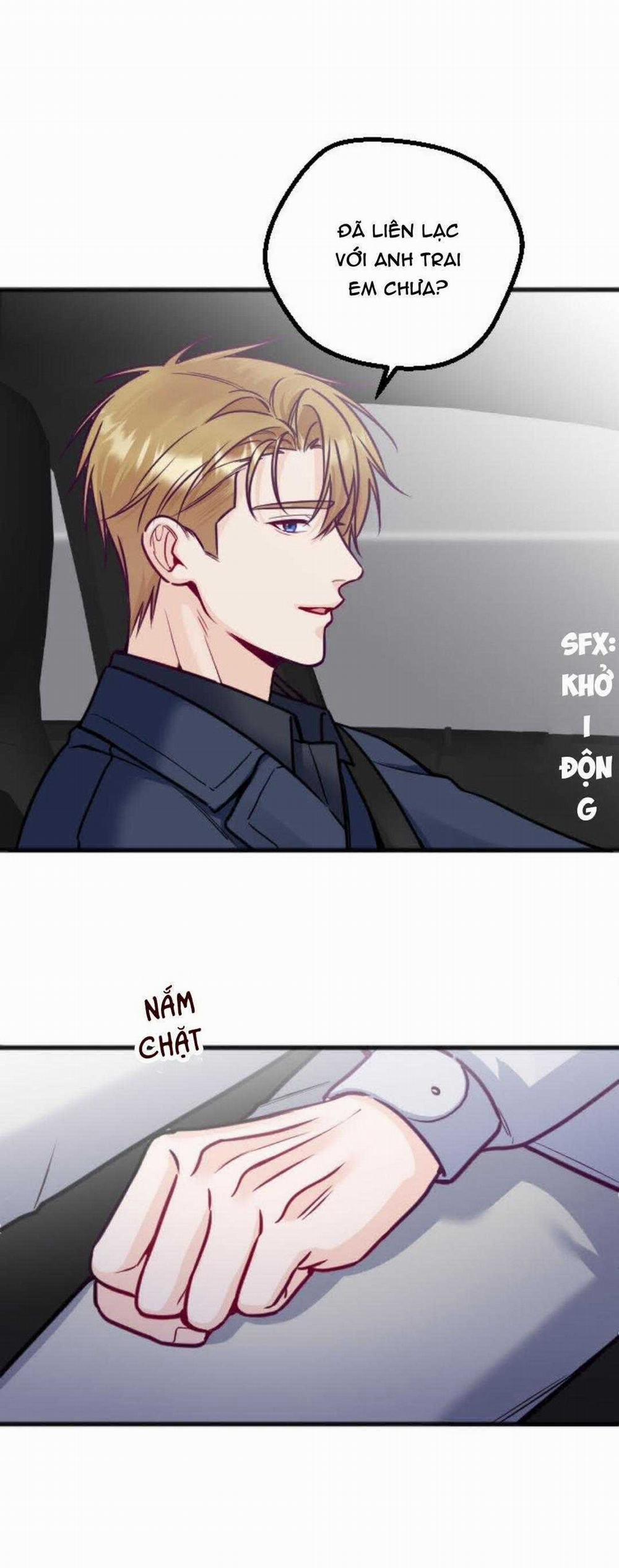 Người Tình Thế Thân Của Alpha 16 trang 29