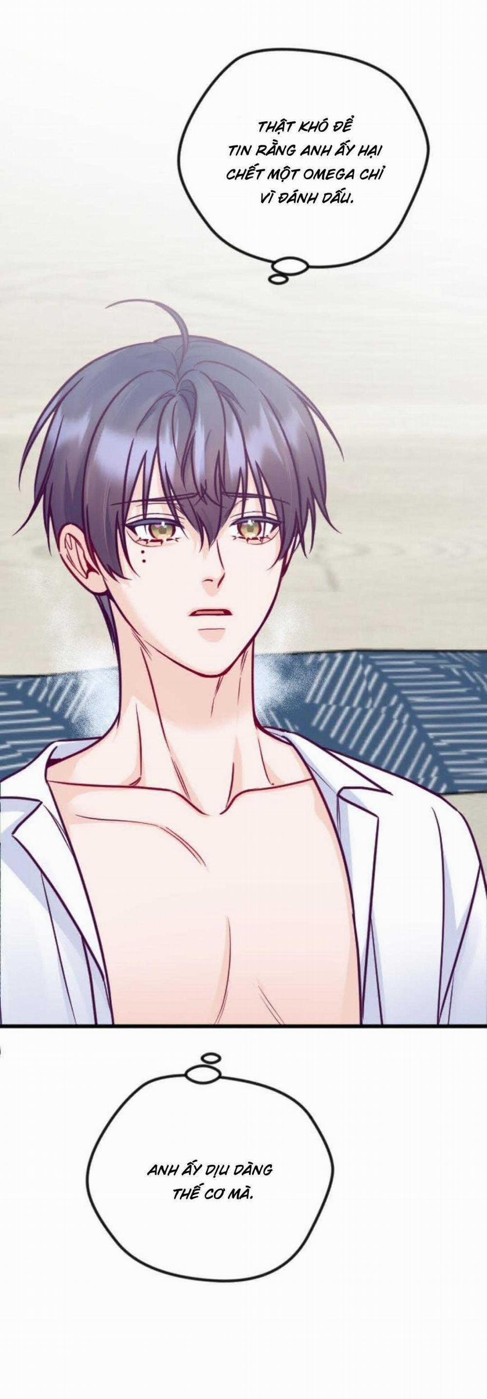 Người Tình Thế Thân Của Alpha 16 trang 9