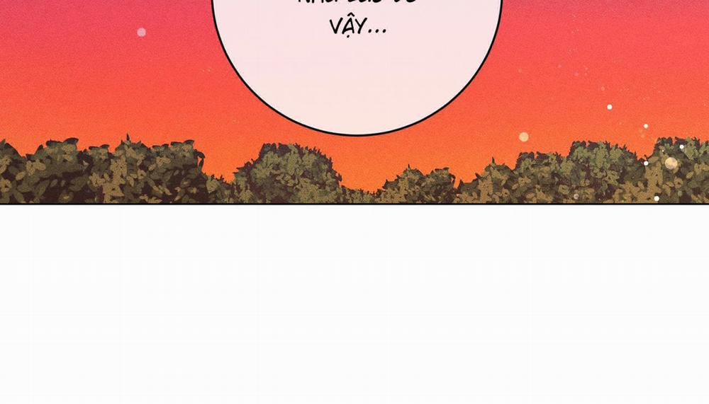 Người Yêu Của Anh 12 trang 28