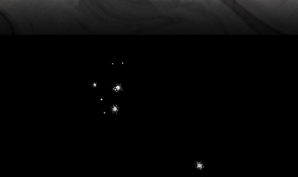 Người Yêu Của Anh 16 trang 162