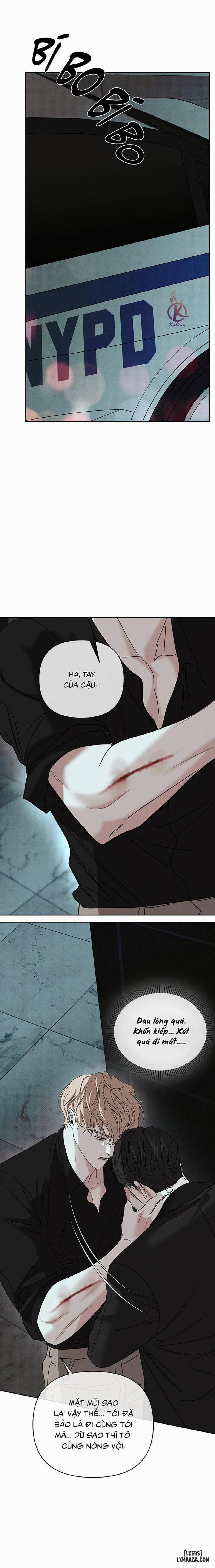 NGƯỜI YÊU DẤU 23 trang 16