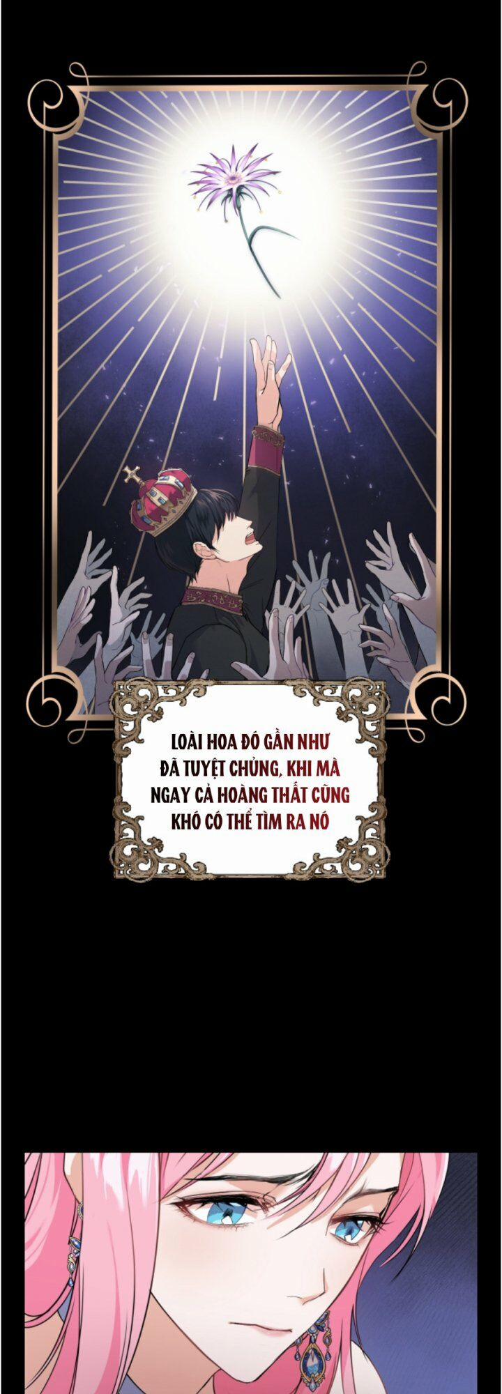 Nhà Điều Chế Nước Hoa Độc Quyền Của Bạo Chúa 3 trang 12