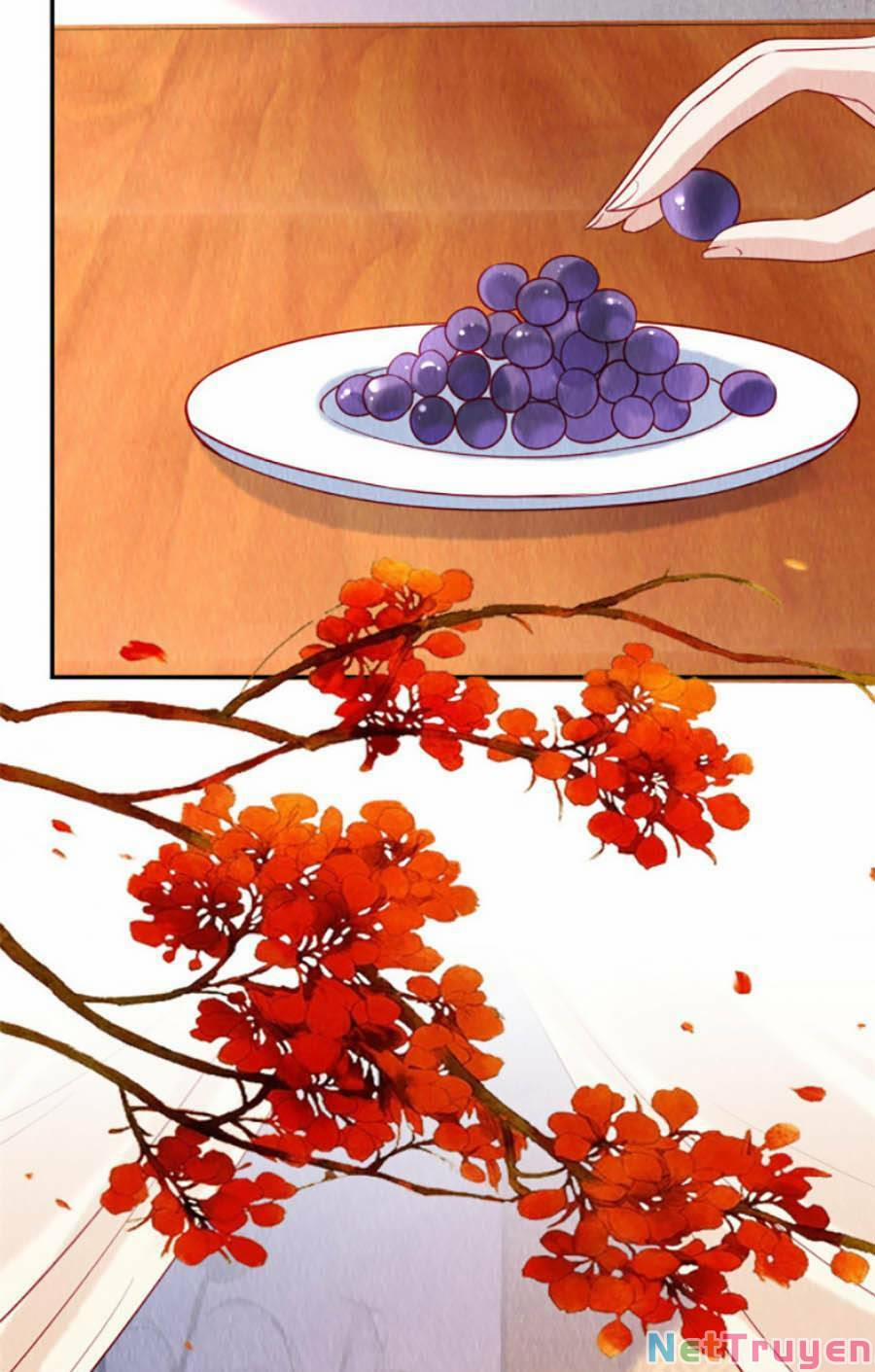 Nha Hỏa Cuồng Phi: Vương Gia Phóng Tứ Sủng 27 trang 29