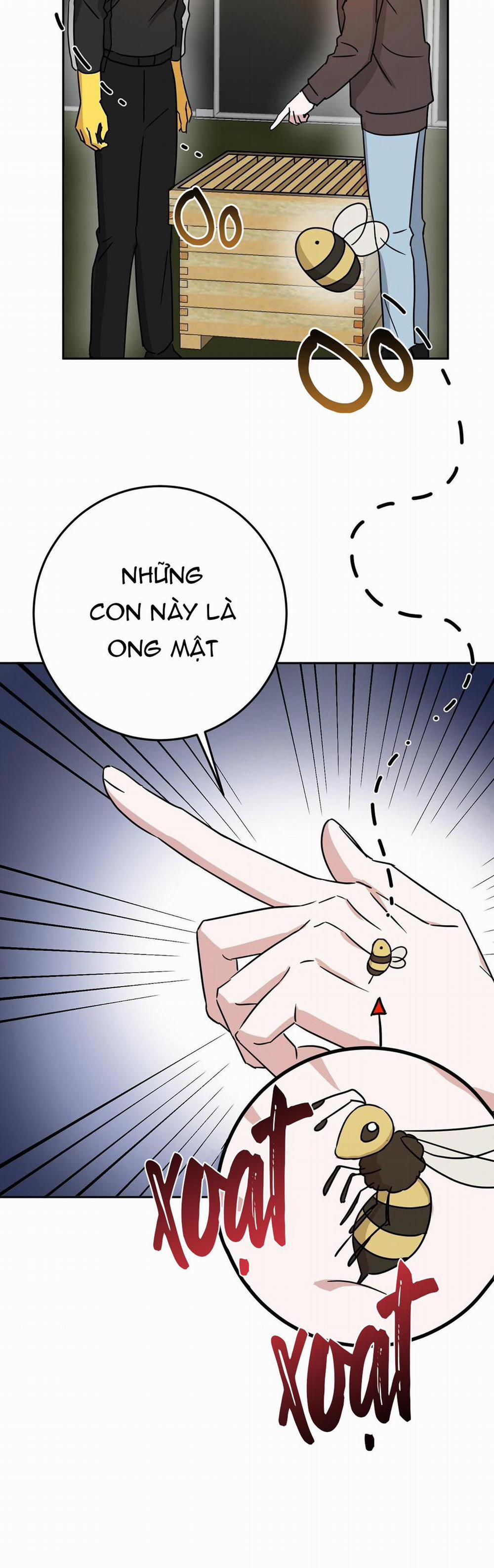 Nhà Tôi Thành Phim Trường Mất Rồi 3 trang 5