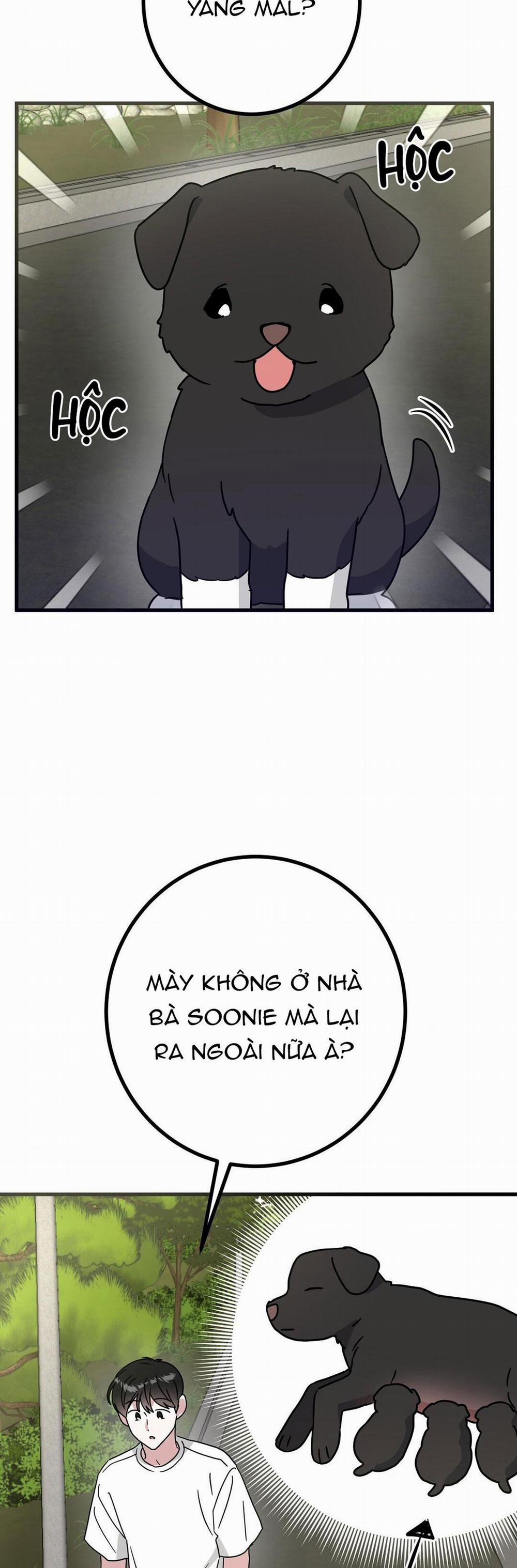 Nhà Tôi Thành Phim Trường Mất Rồi 55 trang 32