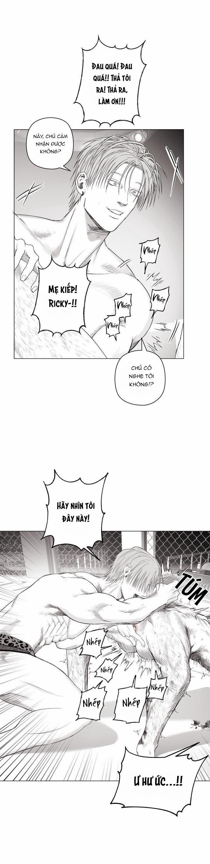Nhà Vô Địch Ngoan Cường 10 trang 11