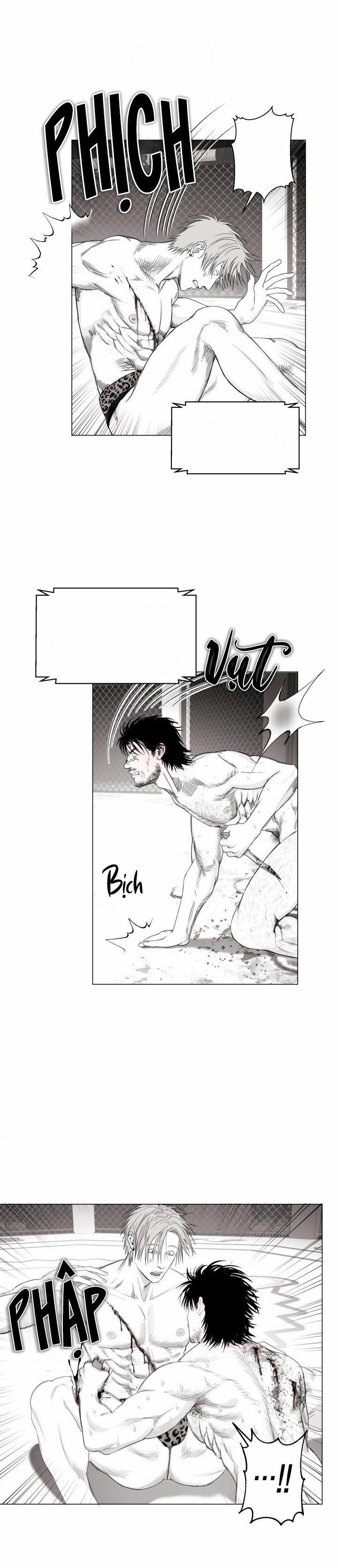 Nhà Vô Địch Ngoan Cường 10 trang 14