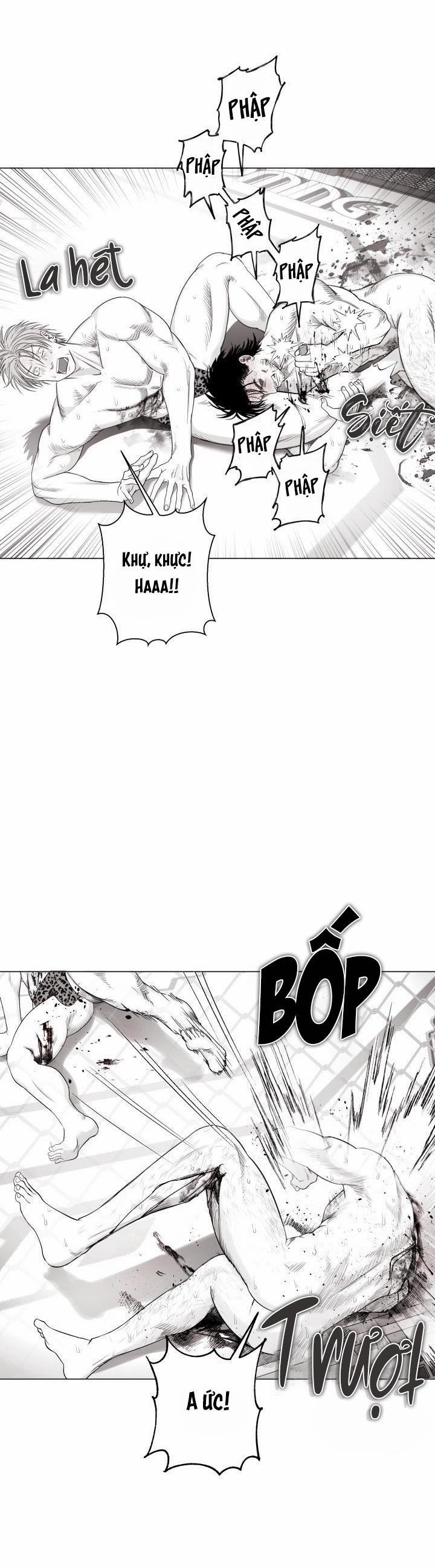 Nhà Vô Địch Ngoan Cường 10 trang 15