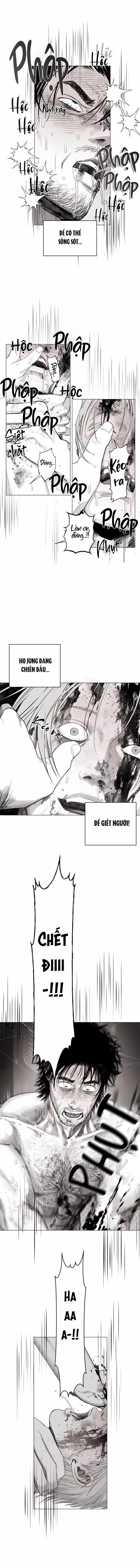 Nhà Vô Địch Ngoan Cường 11 trang 11