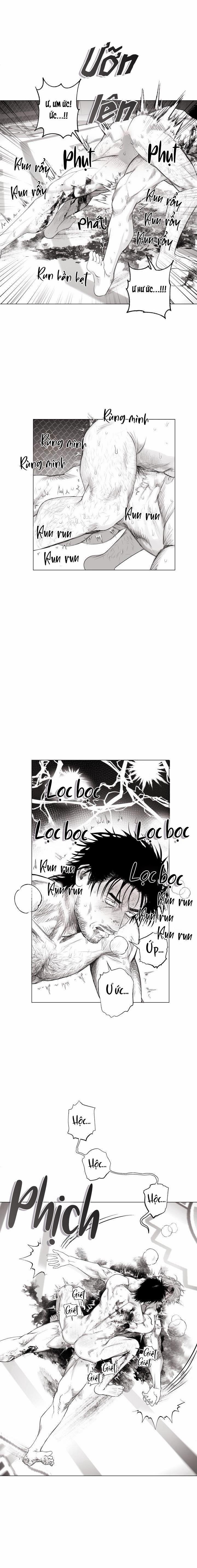 Nhà Vô Địch Ngoan Cường 11 trang 12