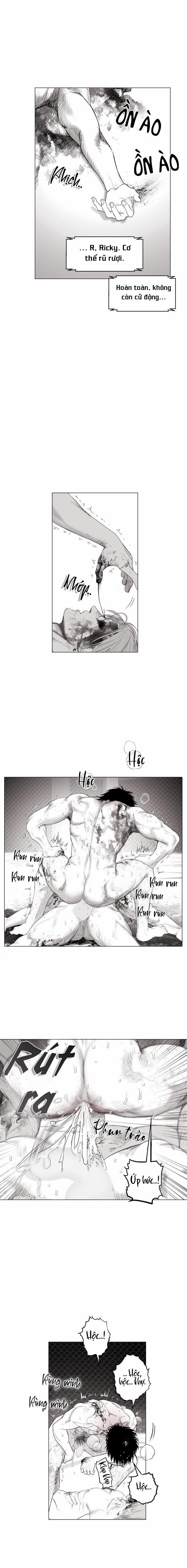 Nhà Vô Địch Ngoan Cường 11 trang 13