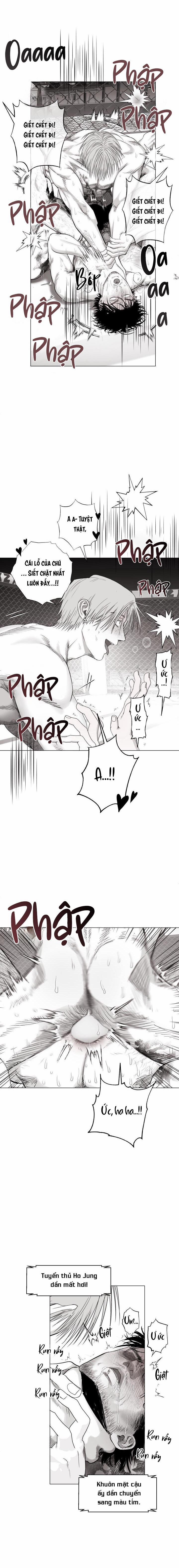 Nhà Vô Địch Ngoan Cường 11 trang 2