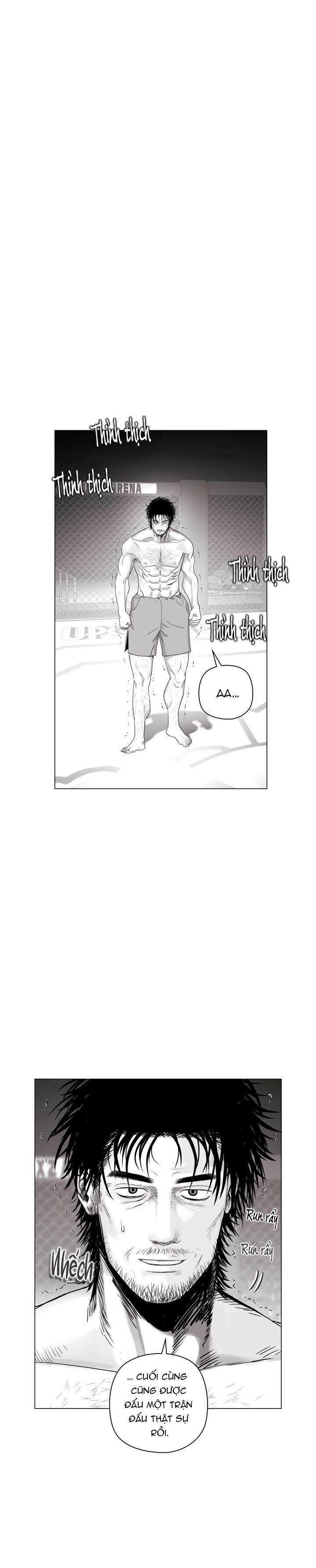 Nhà Vô Địch Ngoan Cường 14 trang 0