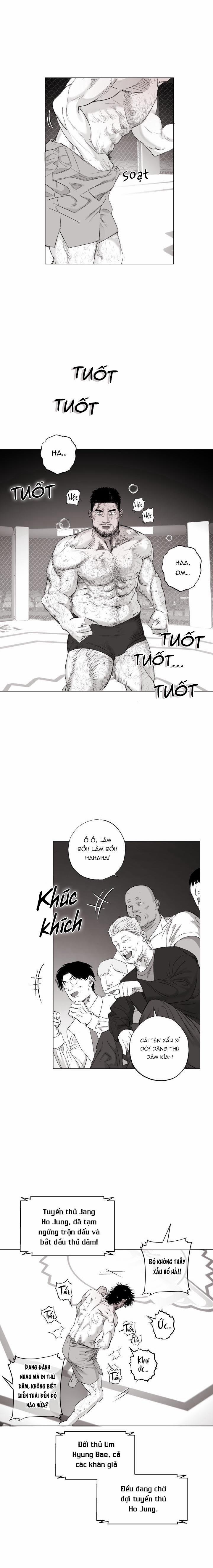 Nhà Vô Địch Ngoan Cường 15 trang 1