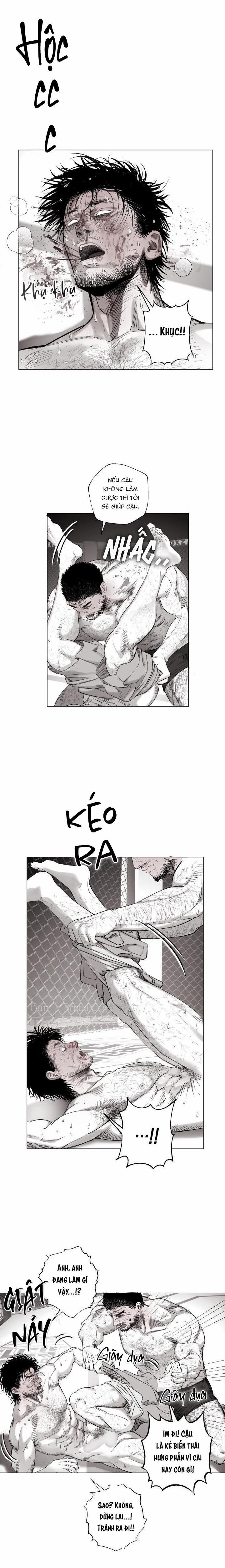 Nhà Vô Địch Ngoan Cường 15 trang 6