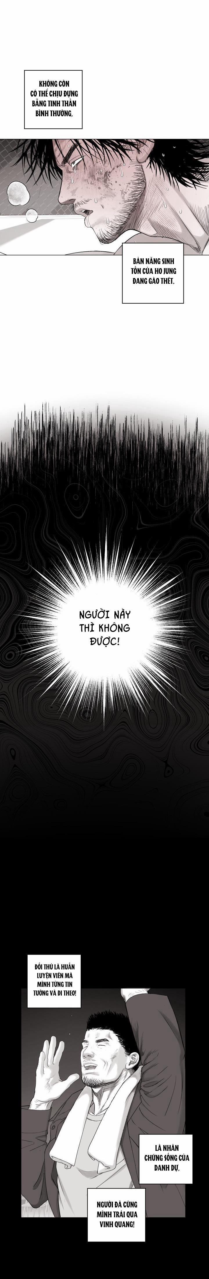 Nhà Vô Địch Ngoan Cường 16 trang 1