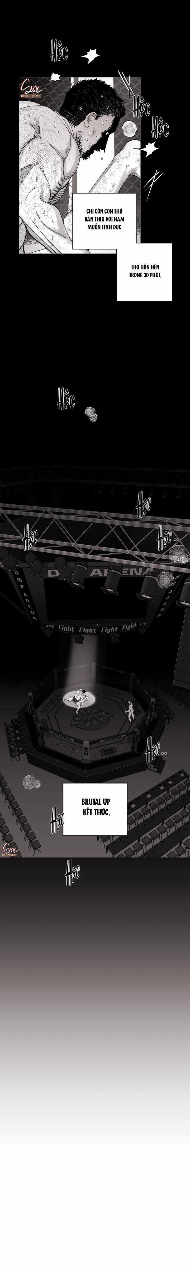Nhà Vô Địch Ngoan Cường 17 trang 12