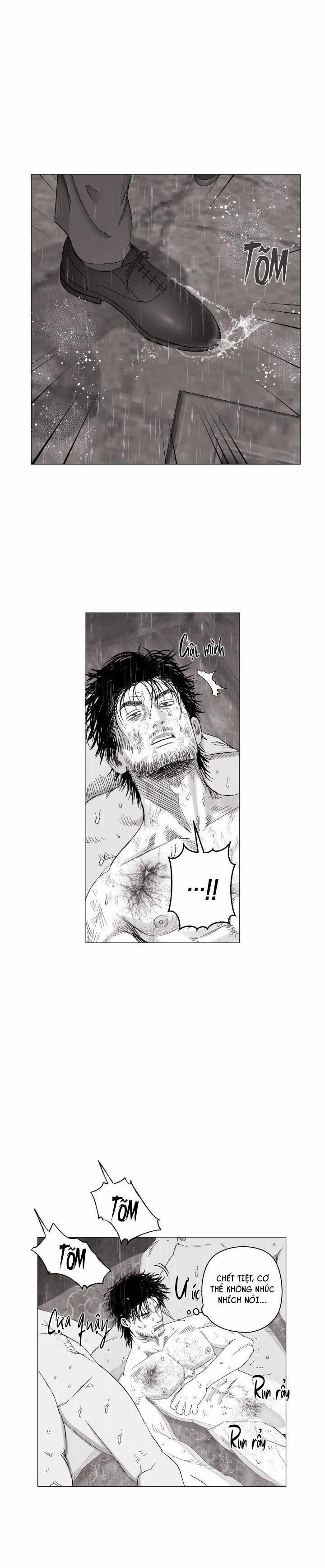 Nhà Vô Địch Ngoan Cường 17 trang 23