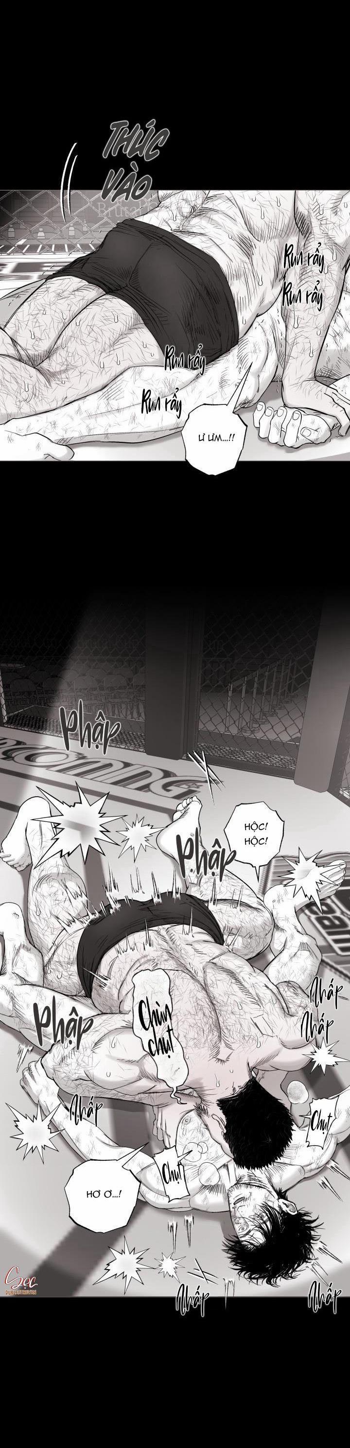 Nhà Vô Địch Ngoan Cường 17 trang 6