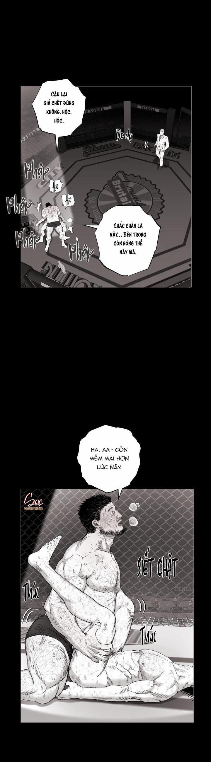 Nhà Vô Địch Ngoan Cường 17 trang 7