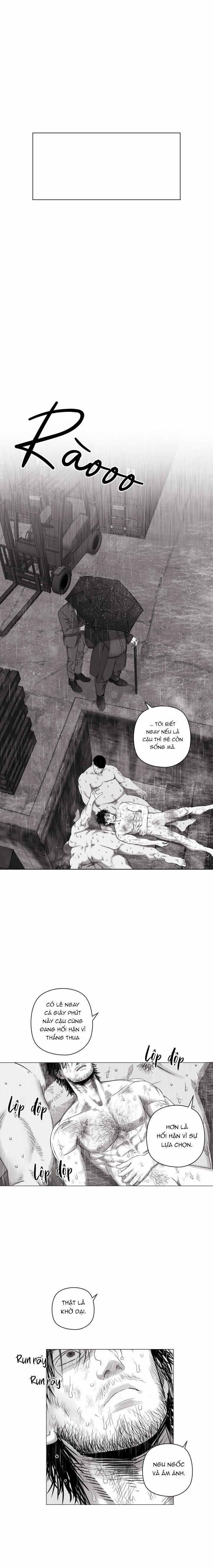 Nhà Vô Địch Ngoan Cường 18 trang 0