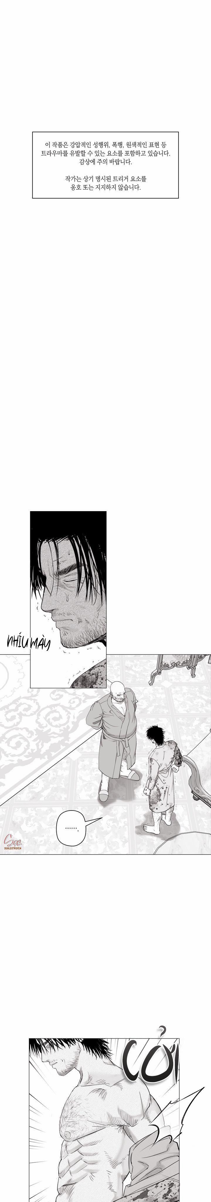 Nhà Vô Địch Ngoan Cường 19 trang 0