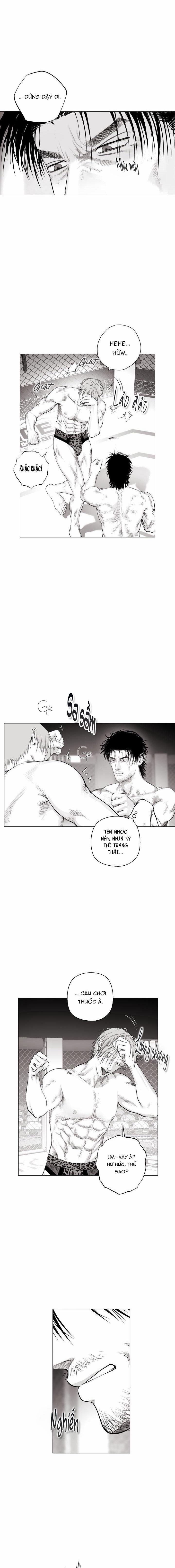 Nhà Vô Địch Ngoan Cường 8 trang 11