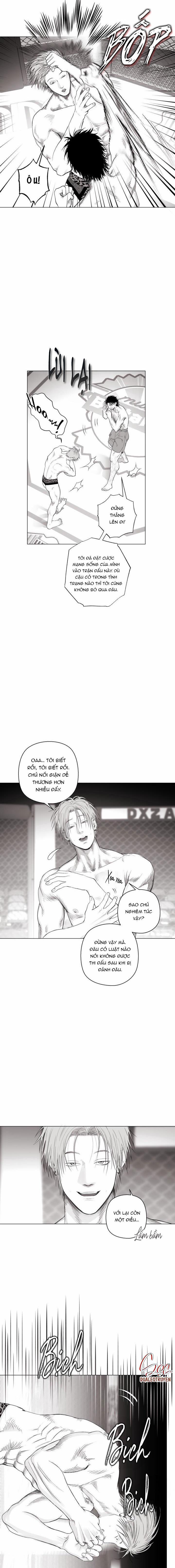 Nhà Vô Địch Ngoan Cường 8 trang 12