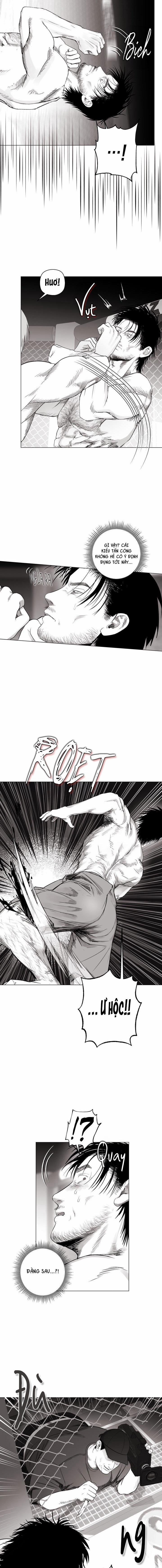 Nhà Vô Địch Ngoan Cường 8 trang 13