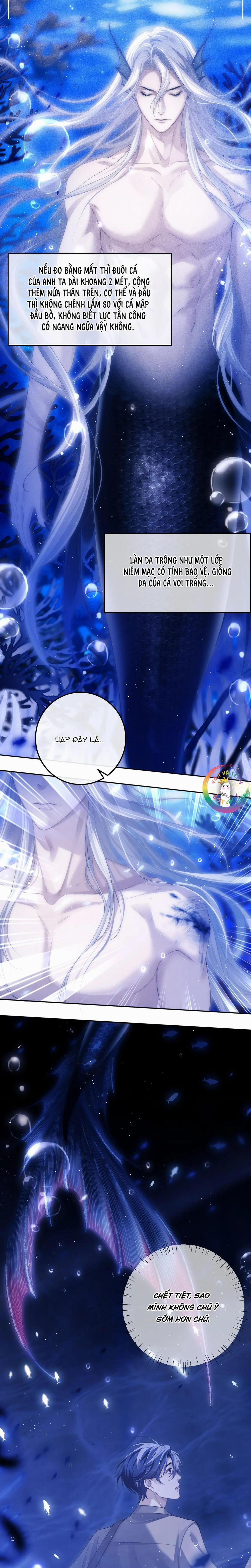 Nhân Ngư Desharow 2 trang 10