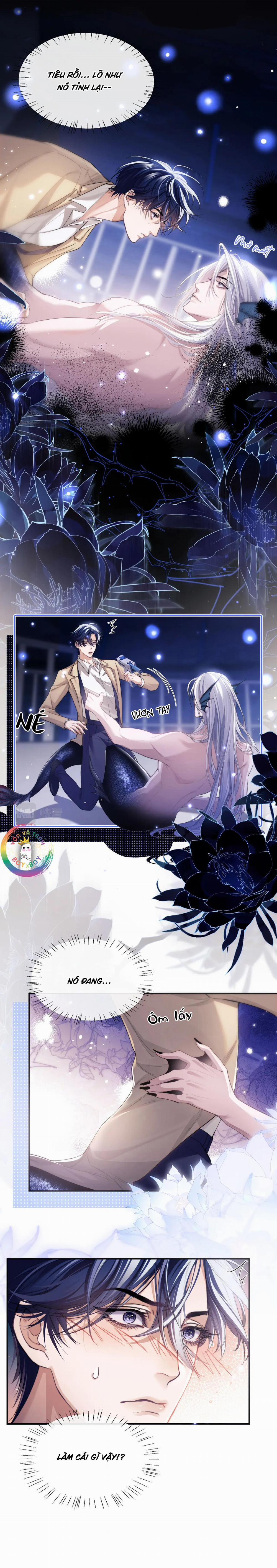 Nhân Ngư Desharow 4 trang 1