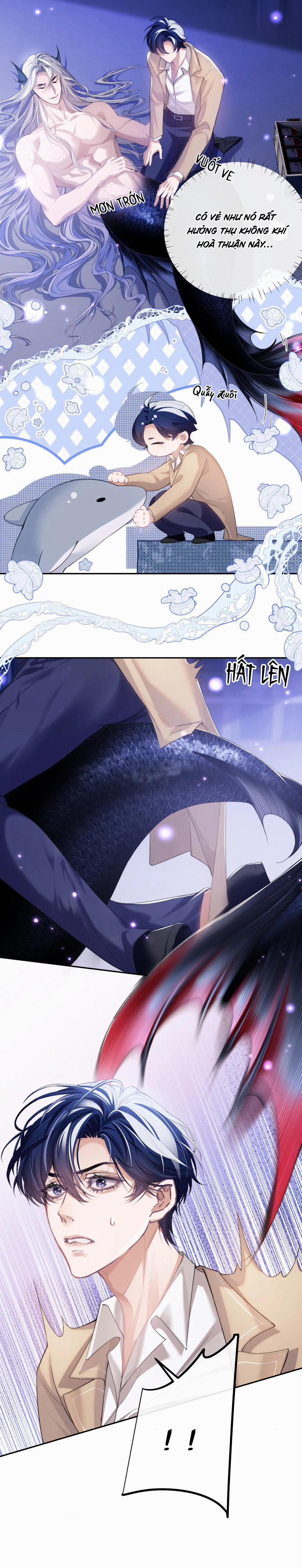 Nhân Ngư Desharow 4 trang 8