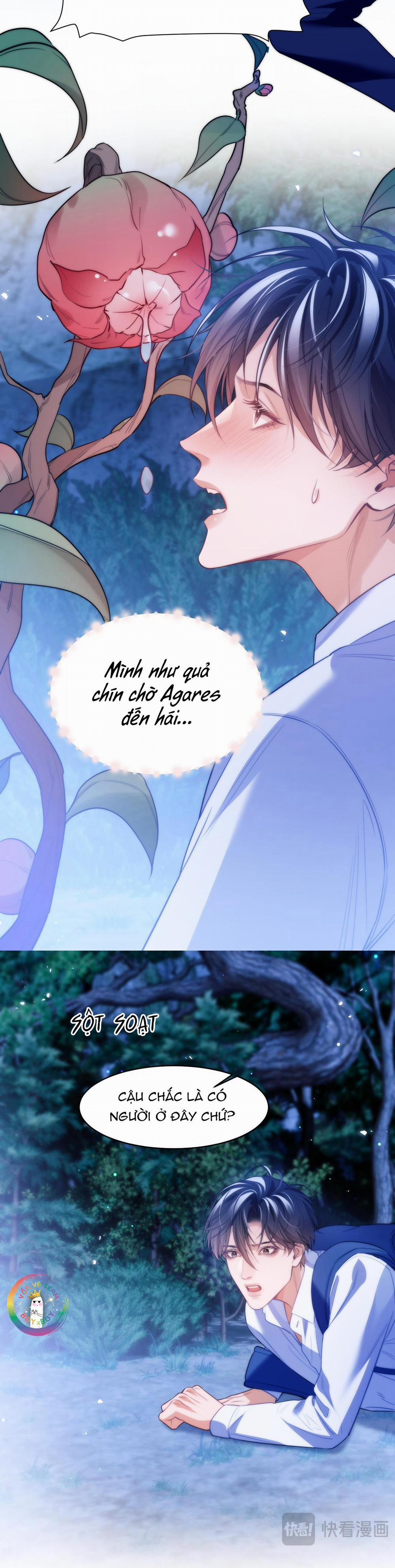 Nhân Ngư Desharow 62 trang 8