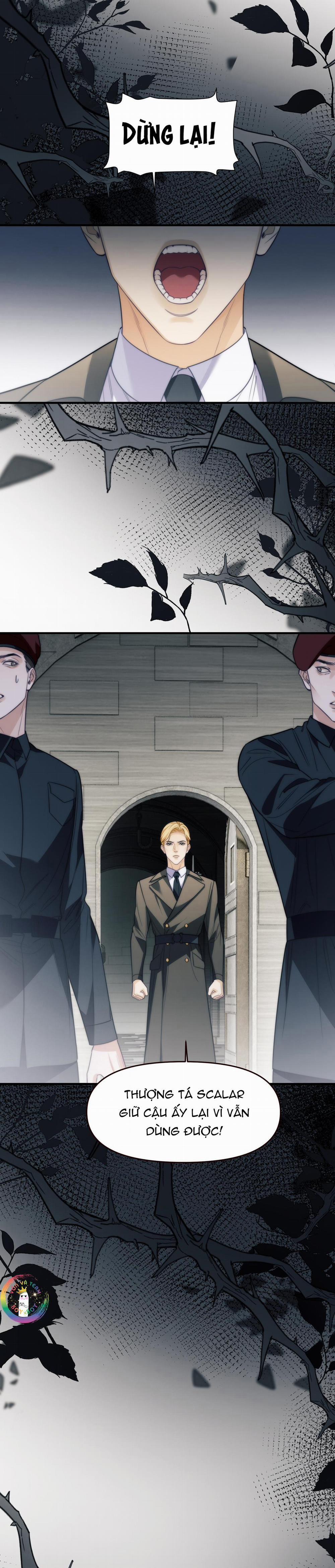 Nhân Ngư Desharow 67 trang 11