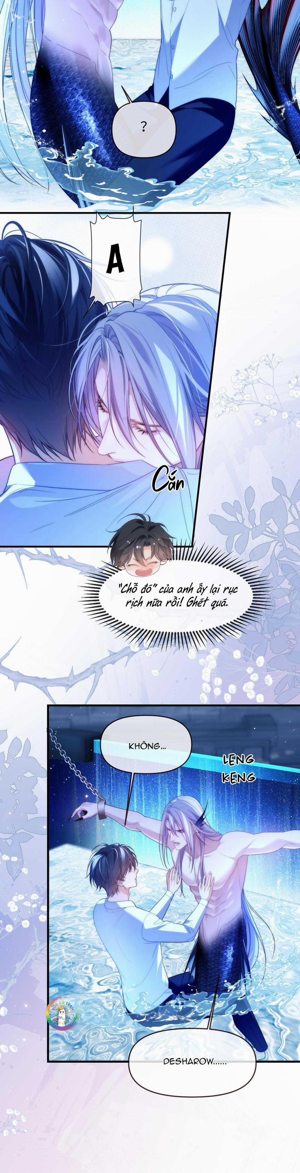 Nhân Ngư Desharow 75 trang 1