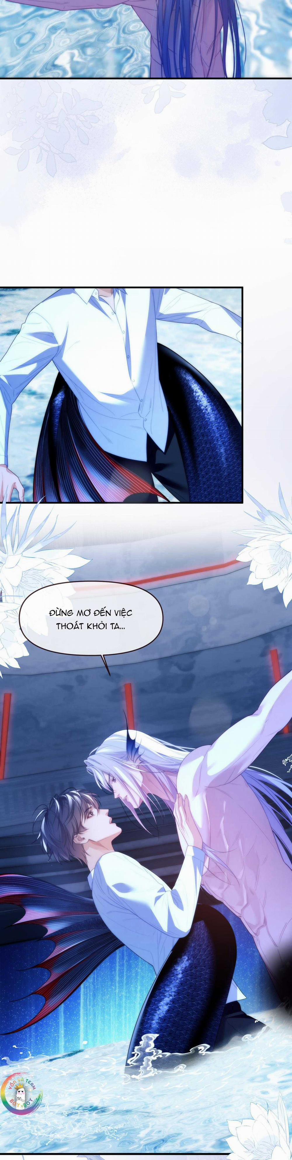 Nhân Ngư Desharow 77 trang 11