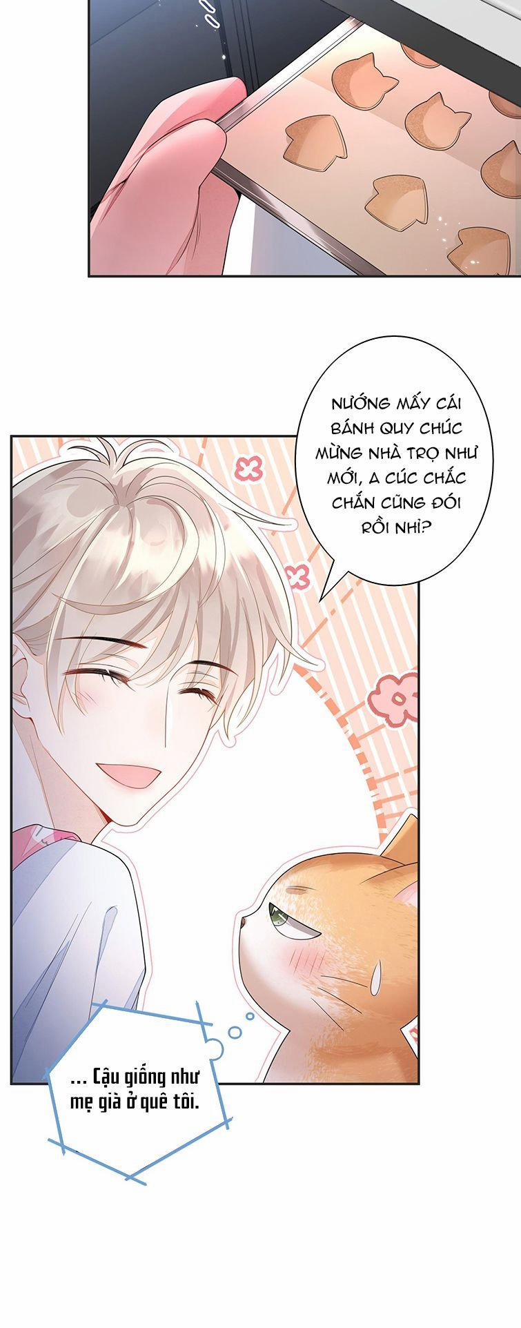 Nhân Thê Thụ Bị Bắt Tiếp Kịch Bản Cường Thụ 5 trang 9