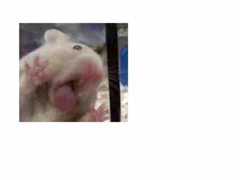 Nhất Hoàng Cửu Công Thập Nhị Thê 5 trang 63