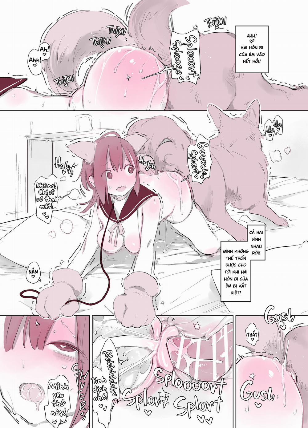 Nhật kí chăm sóc cho chó Phần 3 trang 13