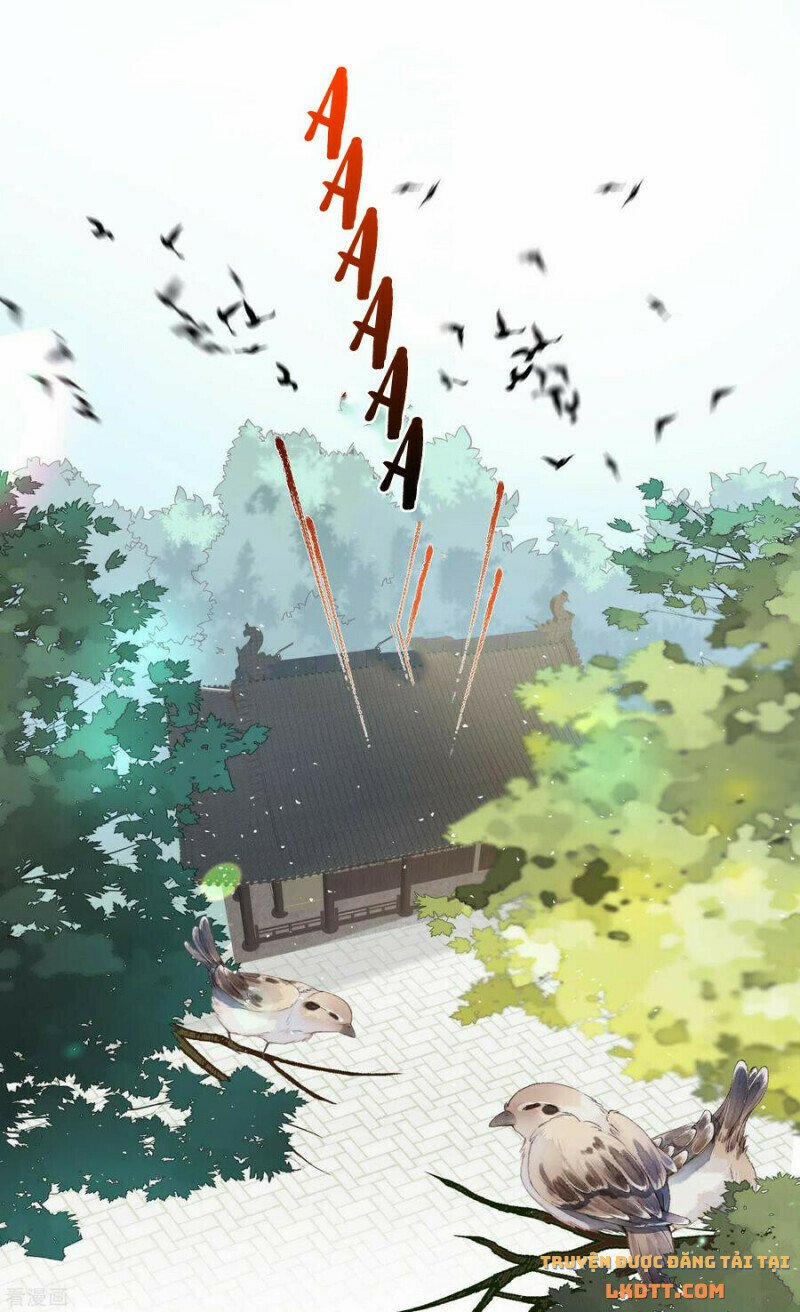 Nhật Kí Học Tập Của Hắc Liên Hoa 51 trang 11