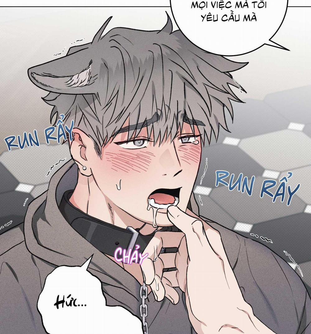 Nhật Ký Nuôi Dưỡng Sói Già 1 trang 15