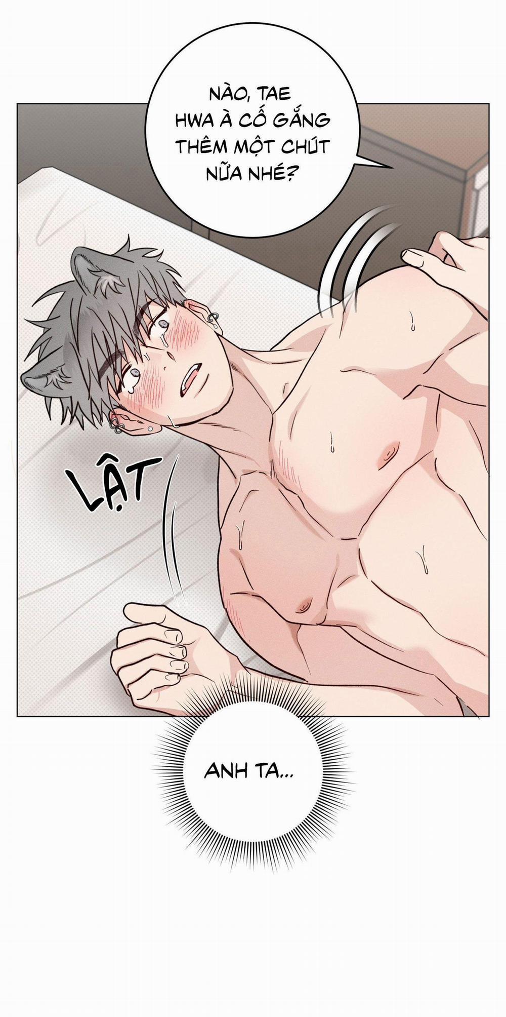 Nhật Ký Nuôi Dưỡng Sói Hoang 4 trang 40